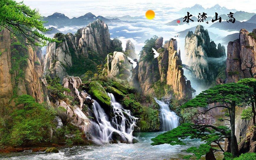 春雨直播app